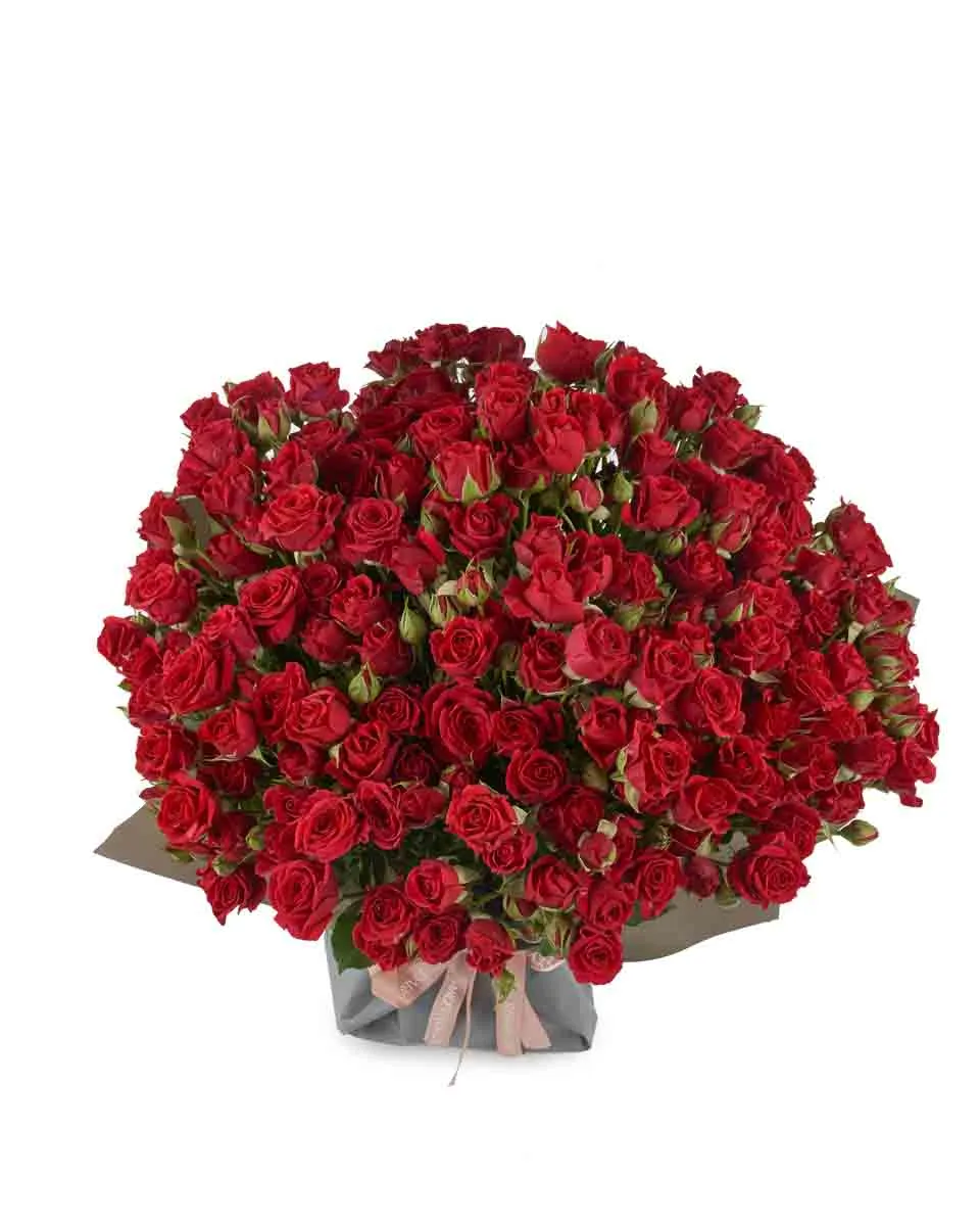 Ruby Red superb JUNE 13 2023 Ruby Red superb JUNE 13 2023