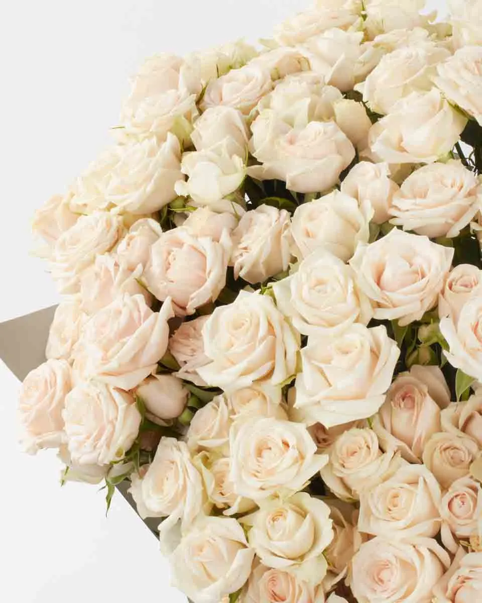 SUPER BUBBLES SUPERB JUNE 6 2023 2 1 SUPER BUBBLES SUPERB JUNE 6 2023 2 1