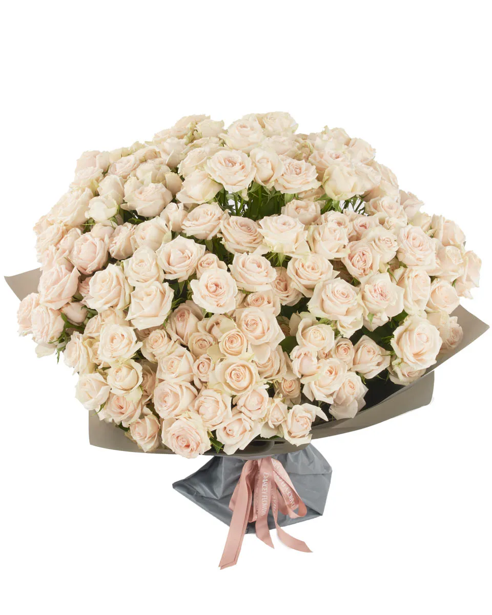 SUPER BUBBLES SUPERB JUNE 6 2023 2 SUPER BUBBLES SUPERB JUNE 6 2023 2