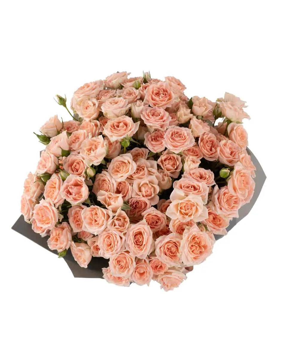 SWEET SARAH IMPRESSIVE JUNE 6 2023 10 top SWEET SARAH IMPRESSIVE JUNE 6 2023 10 top