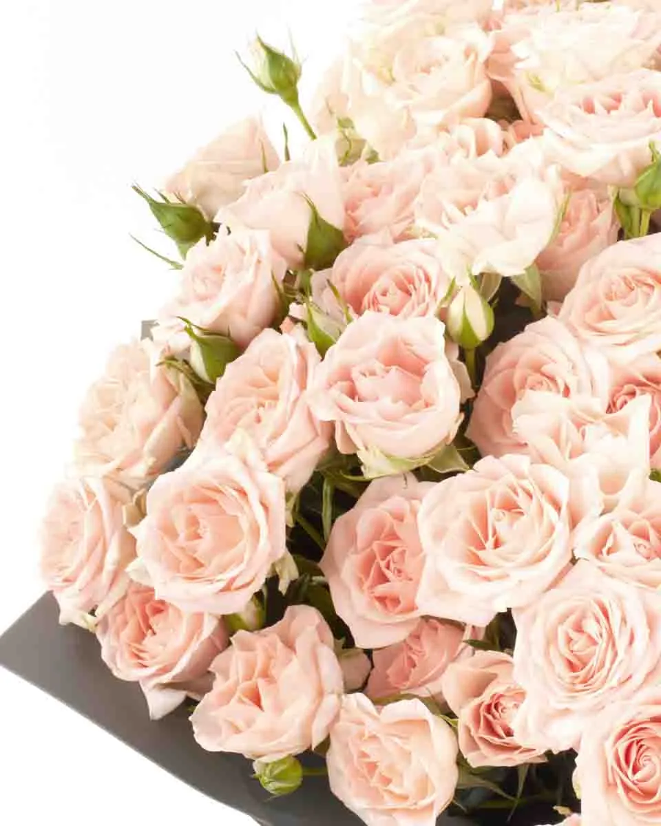 SWEET SARAH IMPRESSIVE JUNE 6 2023 10 SWEET SARAH IMPRESSIVE JUNE 6 2023 10