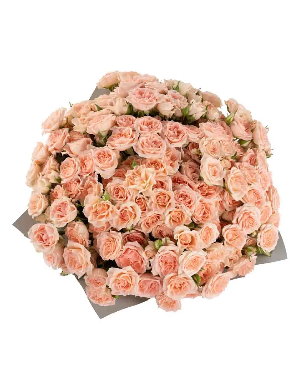 SWEET SARAH SUPERB JUNE 6 2023 12 top SWEET SARAH SUPERB JUNE 6 2023 12 top