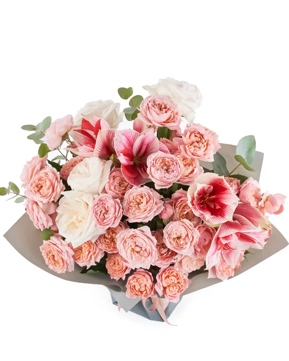 SWEET THING IMPRESSIV SWEET THING IMPRESSIV