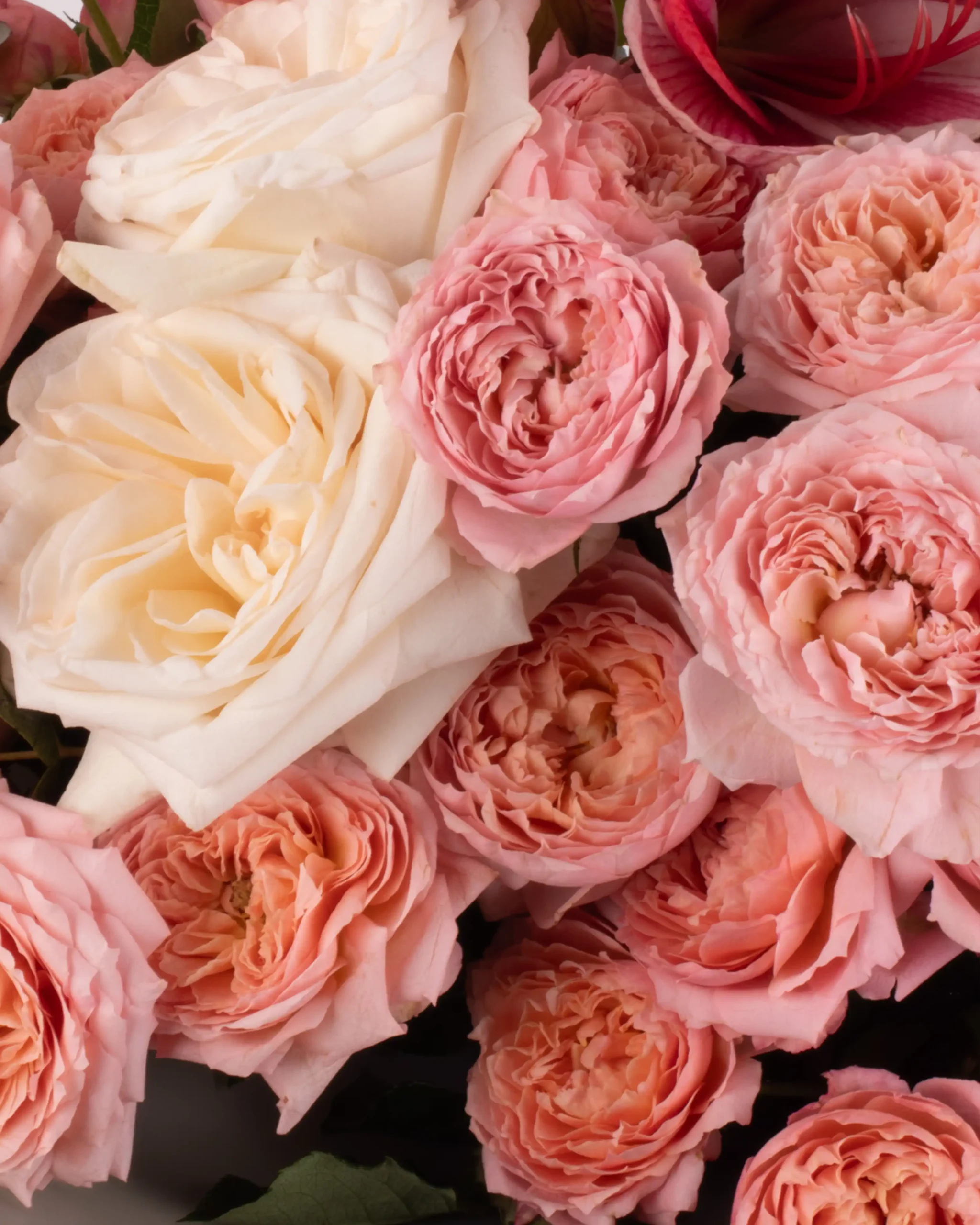 SWEET THING IMPRESSIVE DETAILS scaled 1 SWEET THING IMPRESSIVE DETAILS scaled 1