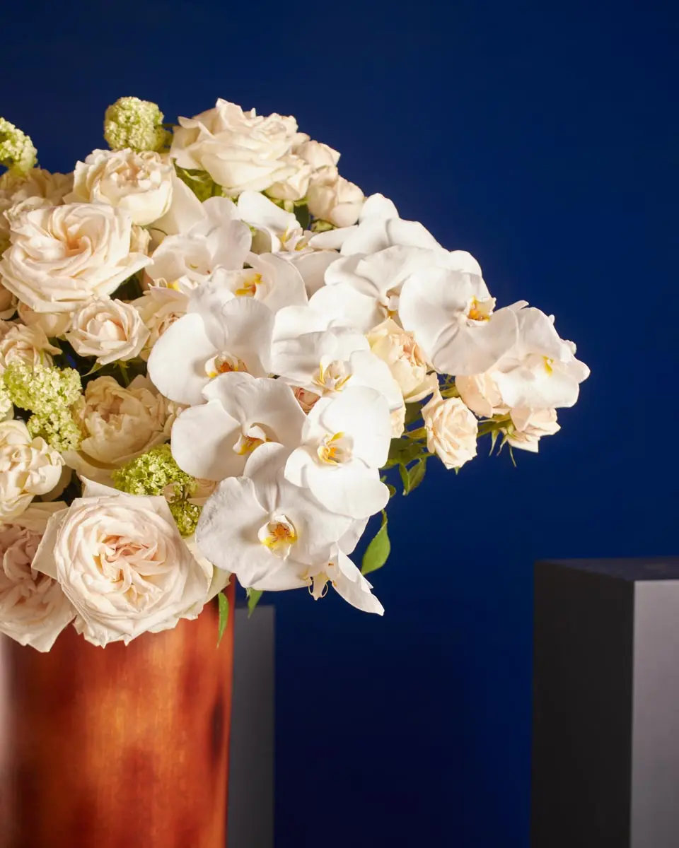 WHITE SOPHISTICATION 1 WHITE SOPHISTICATION 1