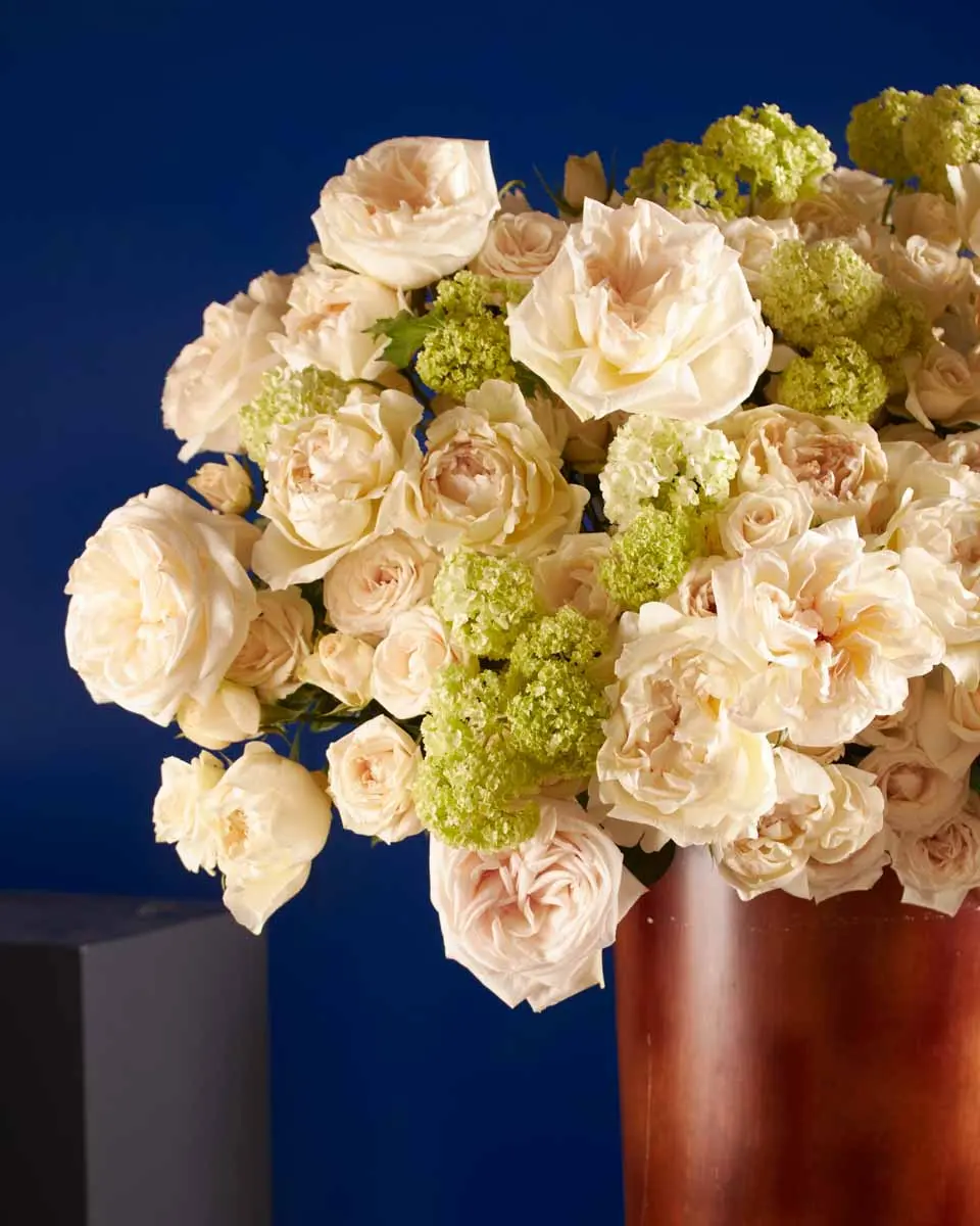 WHITE SOPHISTICATION 2 WHITE SOPHISTICATION 2