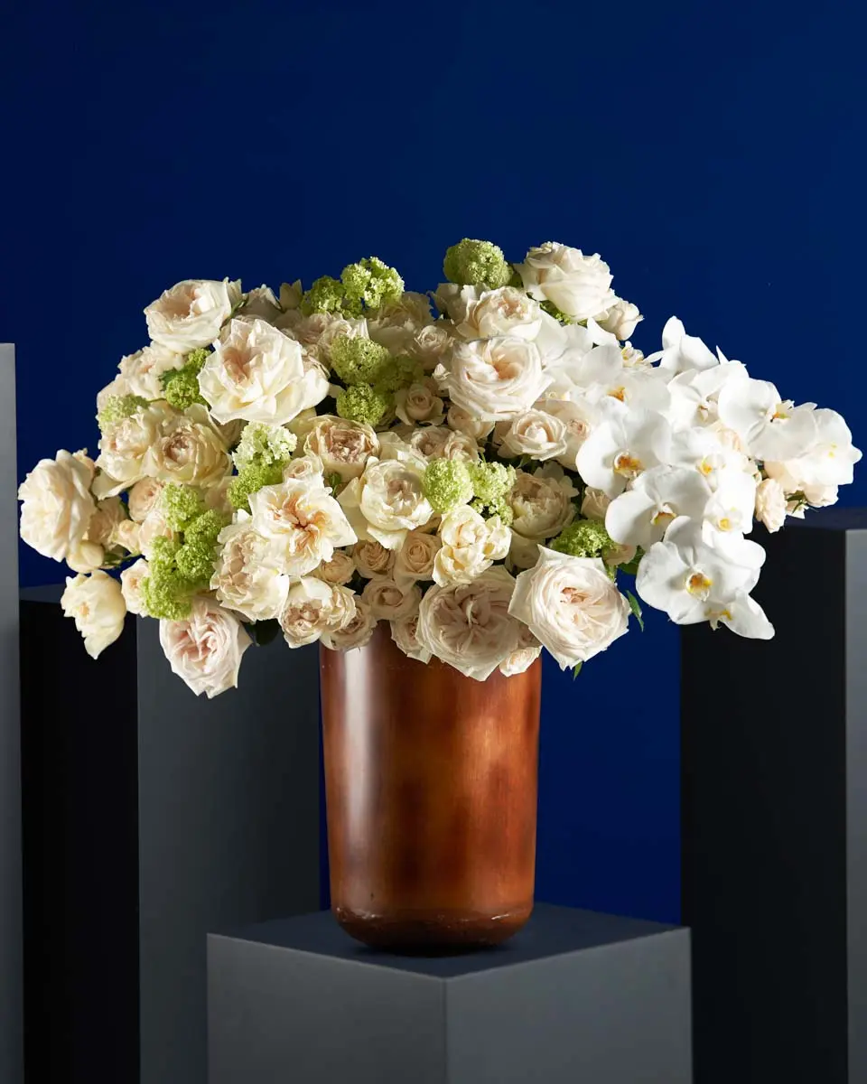 WHITE SOPHISTICATION WHITE SOPHISTICATION