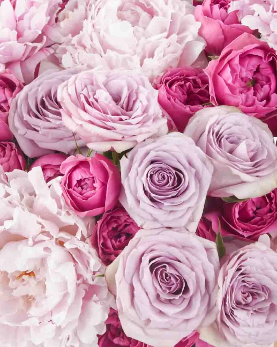 Wishful JUNE 20 2023 1 Wishful JUNE 20 2023 1