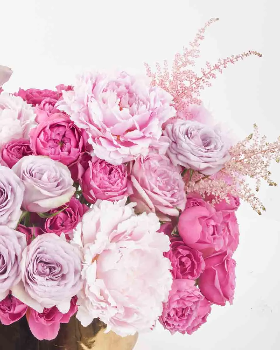 Wishful JUNE 20 2023 3 Wishful JUNE 20 2023 3