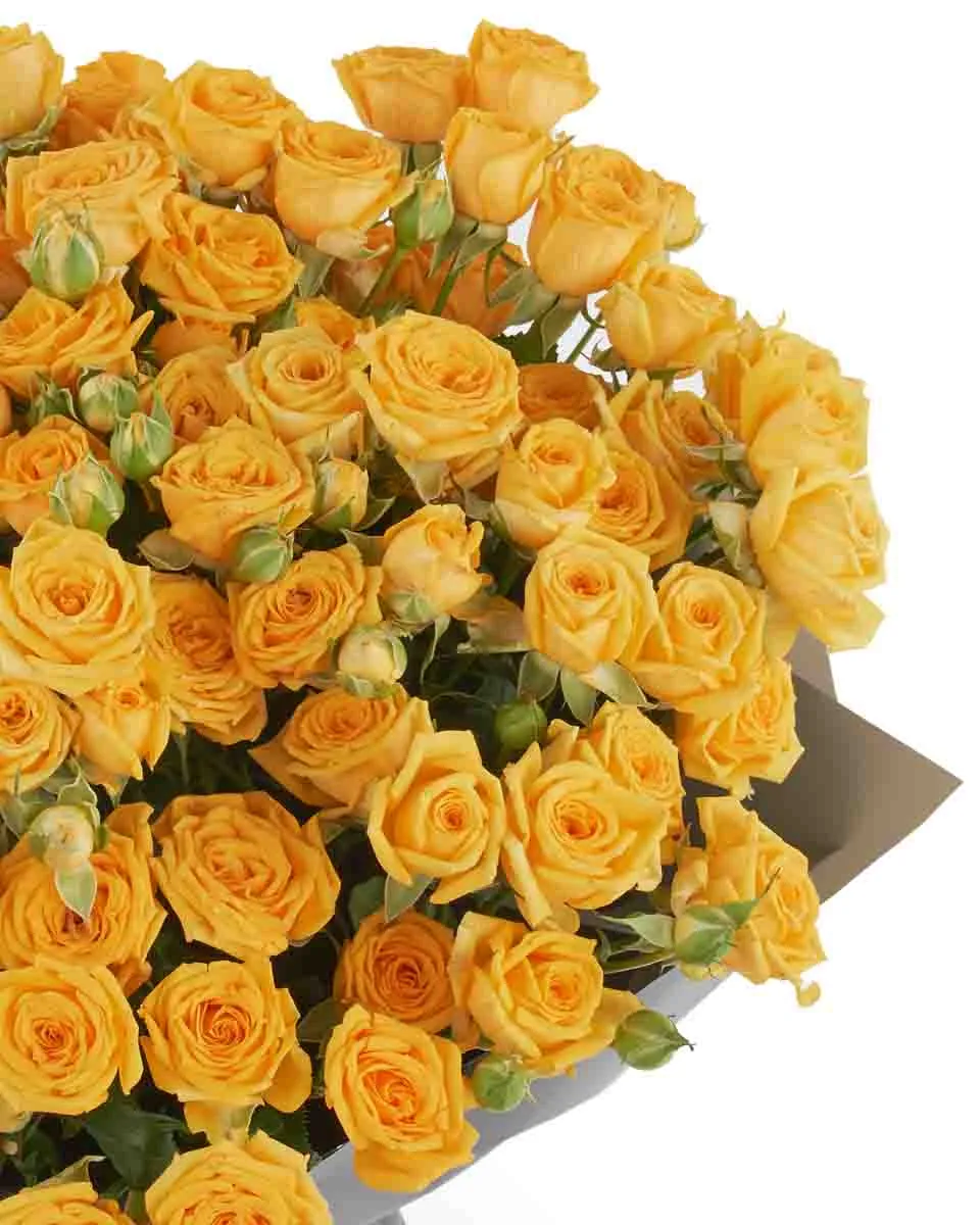 YELLOW BABE IMPRESSIVE JUNE 6 2023 7 YELLOW BABE IMPRESSIVE JUNE 6 2023 7