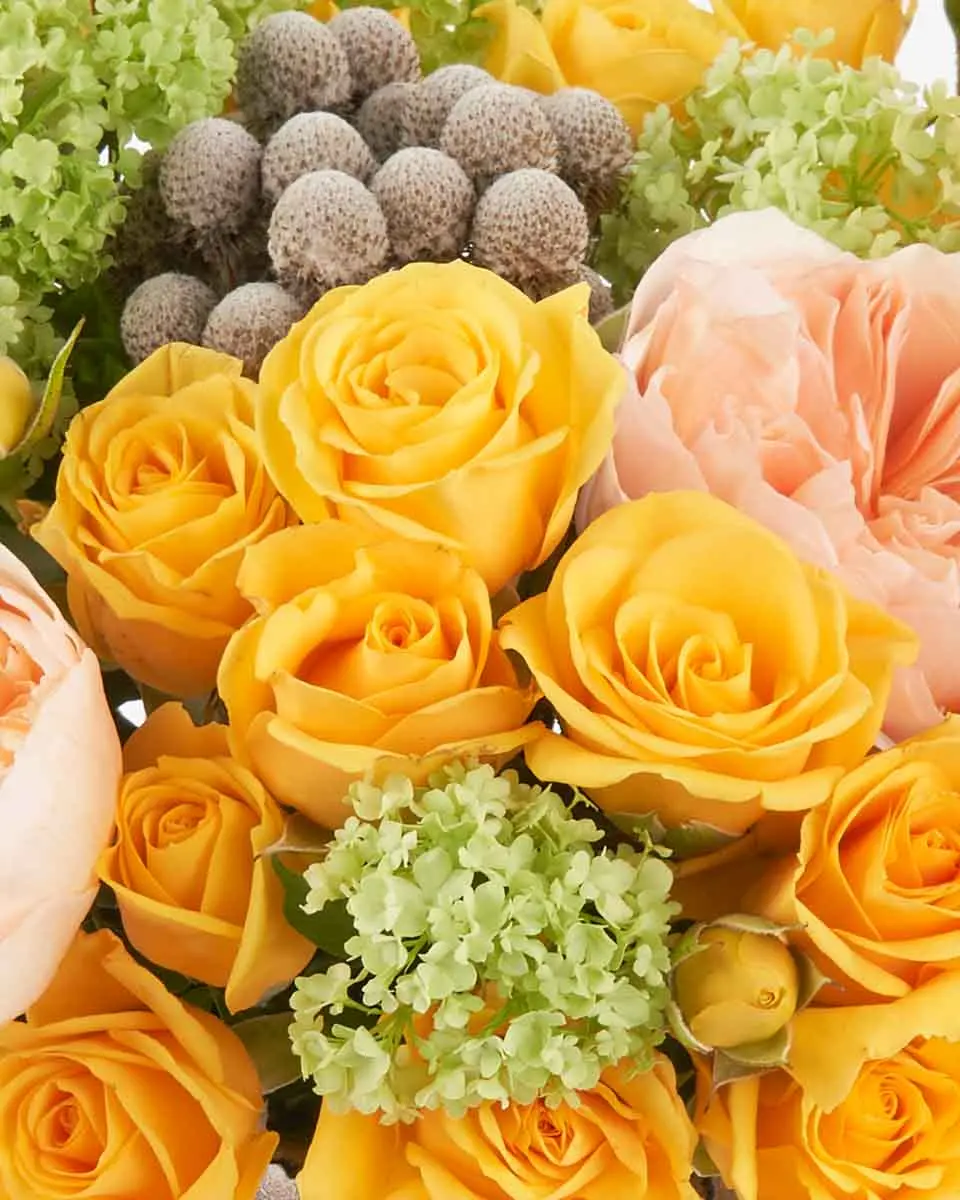 Yellow Breeze JUNE 15, 2023 Details Yellow Breeze JUNE 15, 2023 Details