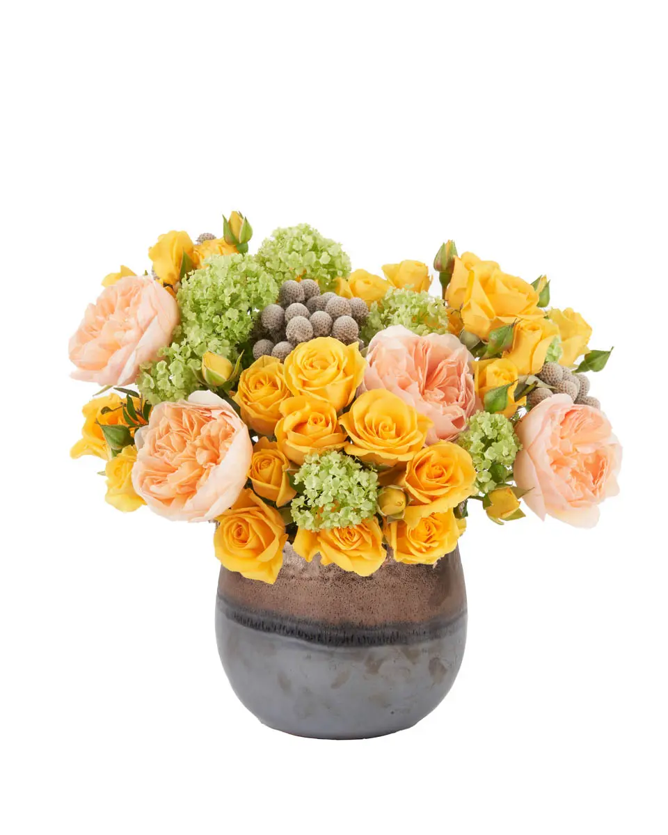 Yellow Breeze JUNE 15, 2023 Yellow Breeze JUNE 15, 2023