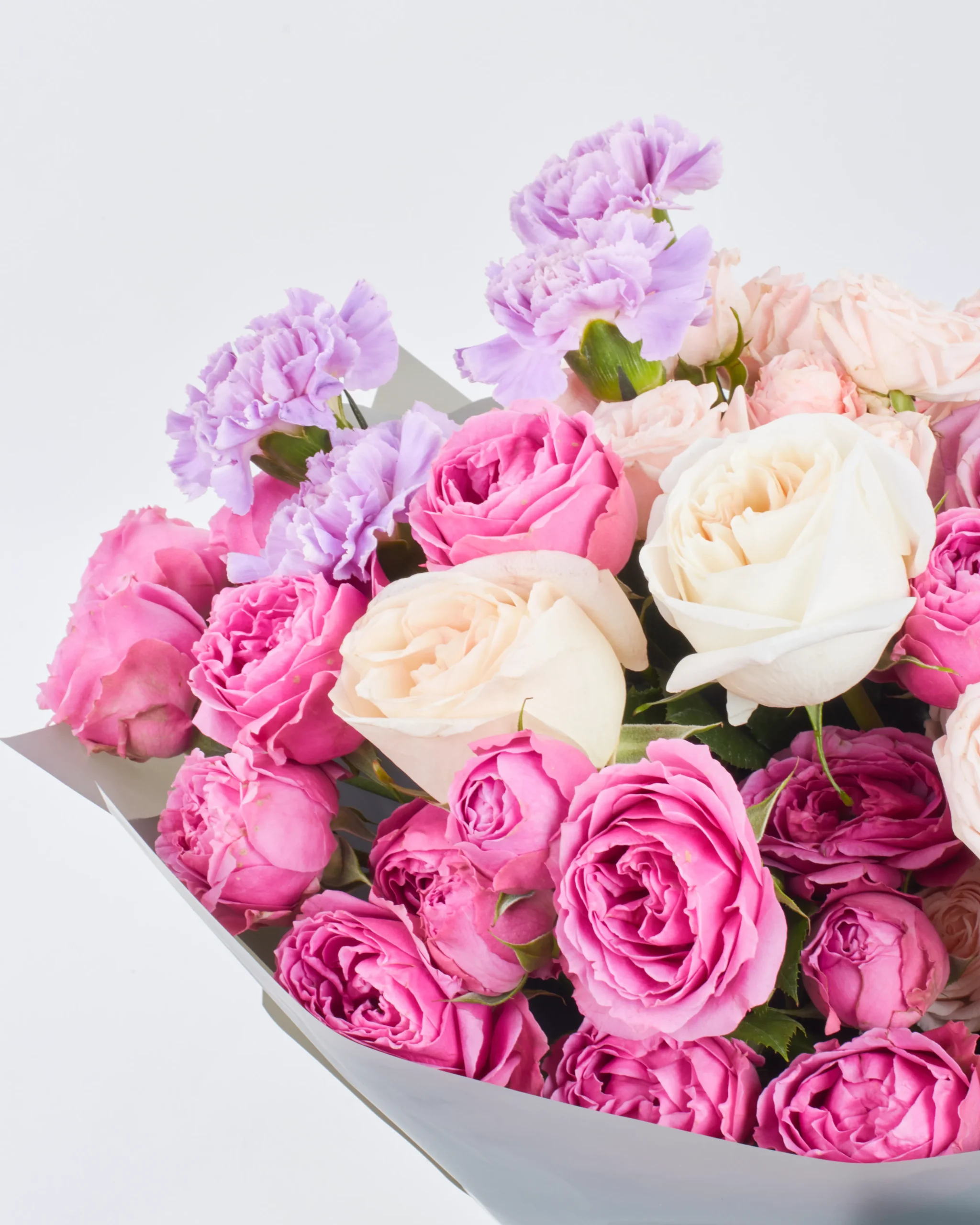 dear amna impressive 1 scaled 1 dear amna impressive 1 scaled 1