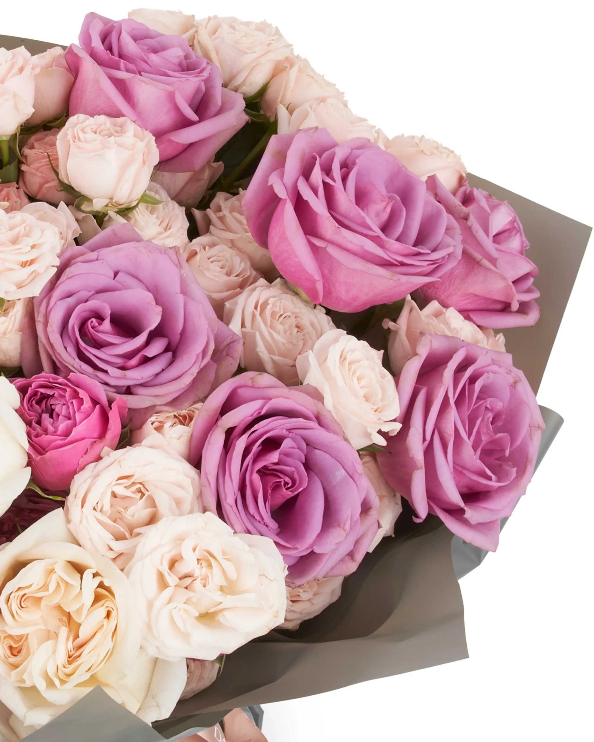 dear amna superb 2 scaled 1 dear amna superb 2 scaled 1