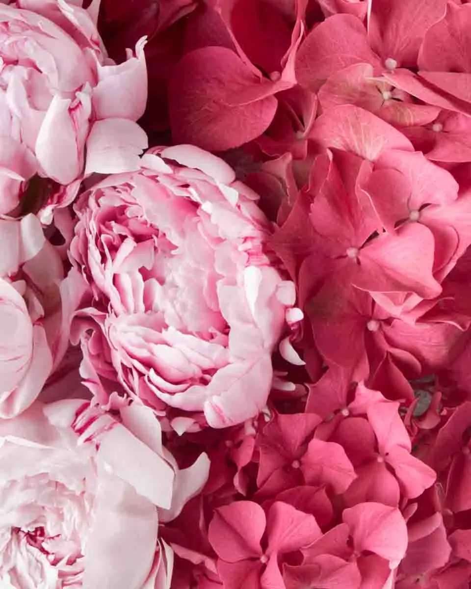 give me love 2 give me love 2