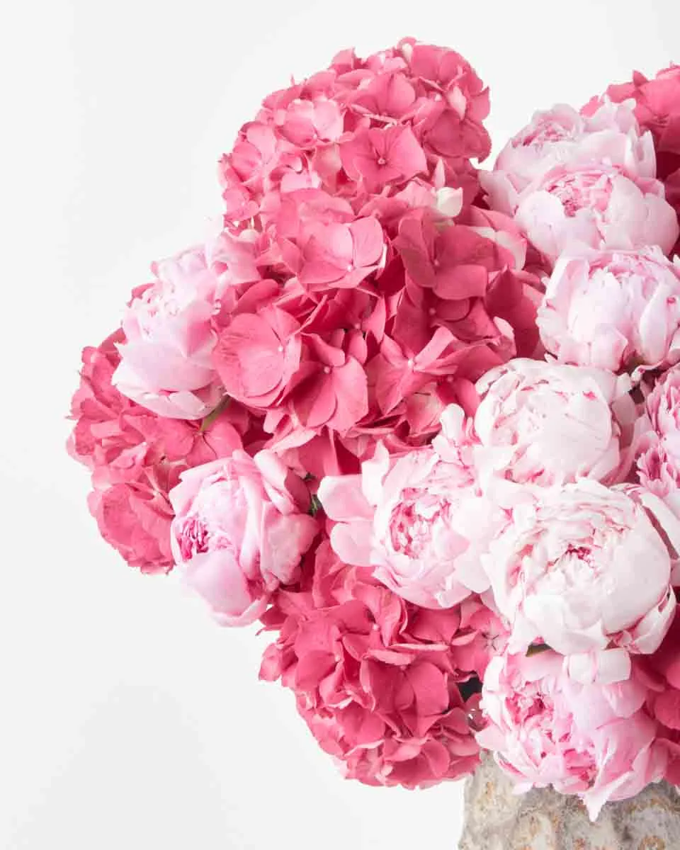 give me love give me love