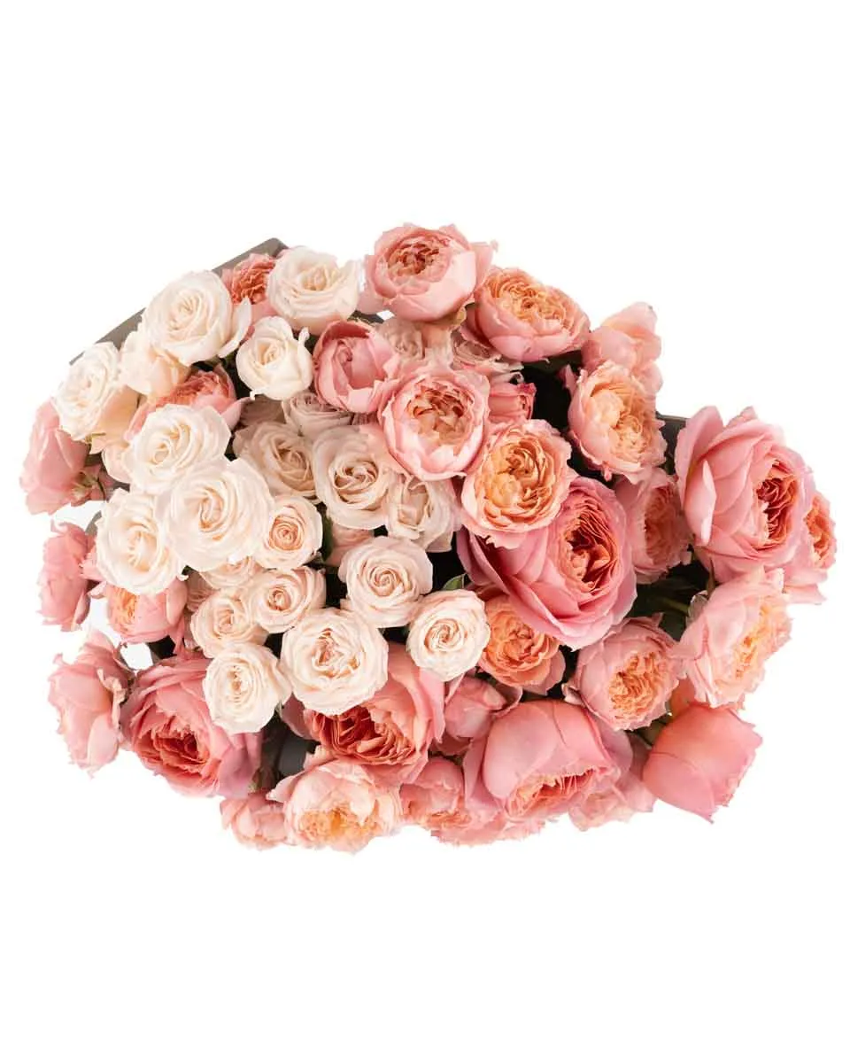 rose galore superb JUNE 12 2023 top rose galore superb JUNE 12 2023 top