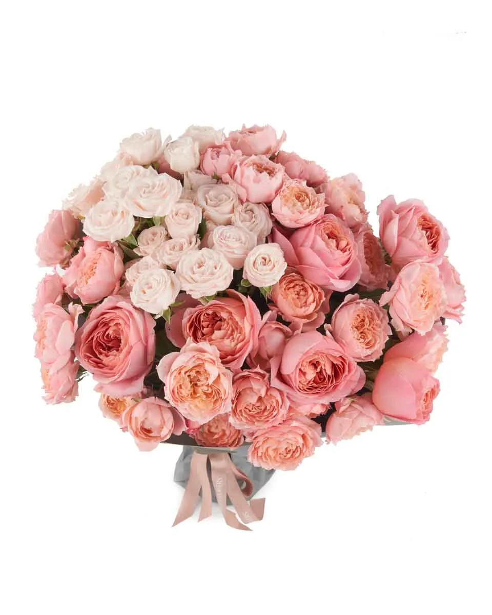 rose galore superb JUNE 12 2023 rose galore superb JUNE 12 2023