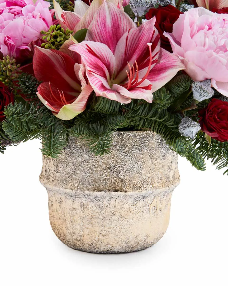 AMARYLLis sparkleNEW PRODUCT14 NEW VASE ARRANGEMENT VASE AMARYLLis sparkleNEW PRODUCT14 NEW VASE ARRANGEMENT VASE