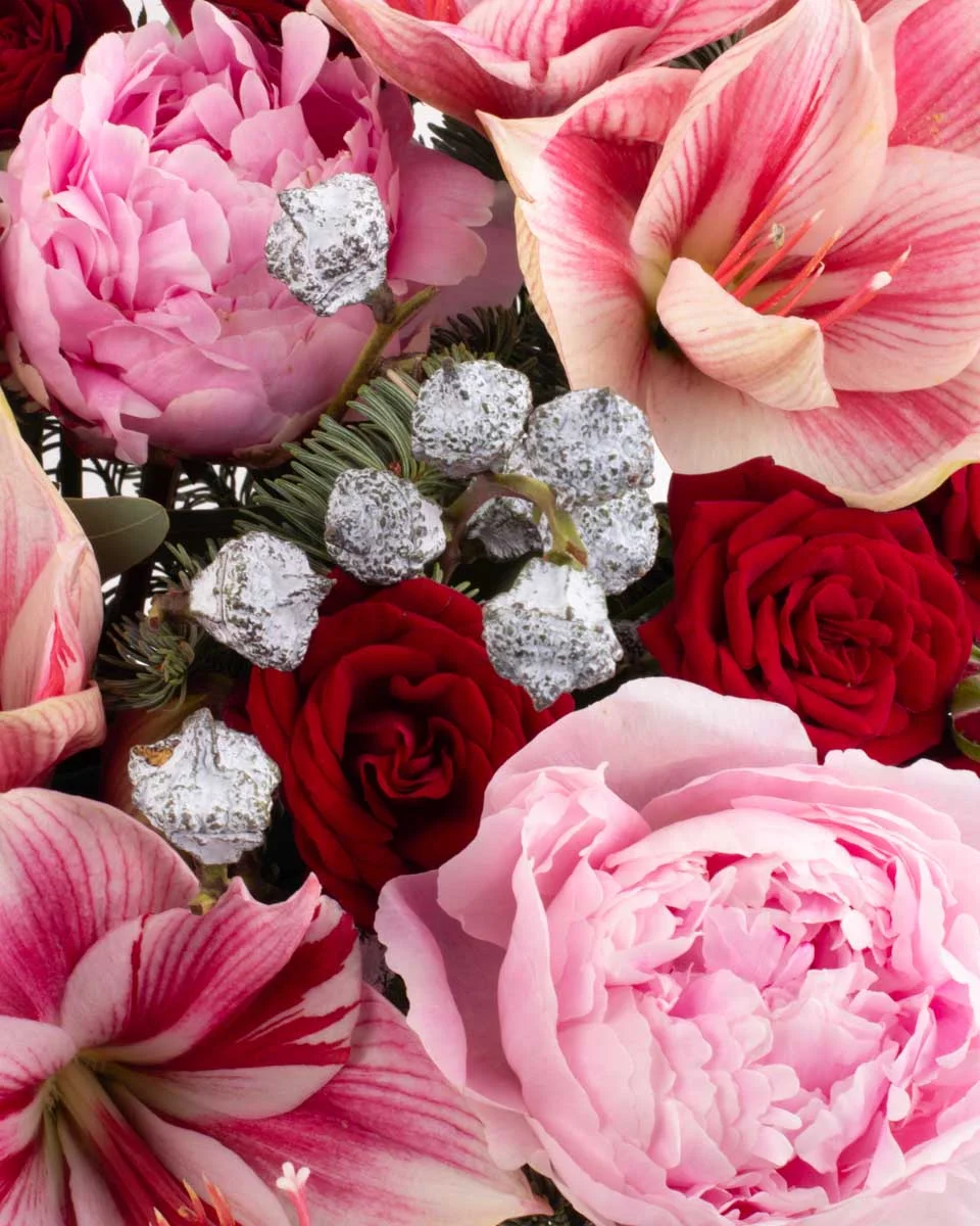 AMARYLLis sparkleNEW PRODUCT14 VASE CLOSEUP DETAILS AMARYLLis sparkleNEW PRODUCT14 VASE CLOSEUP DETAILS