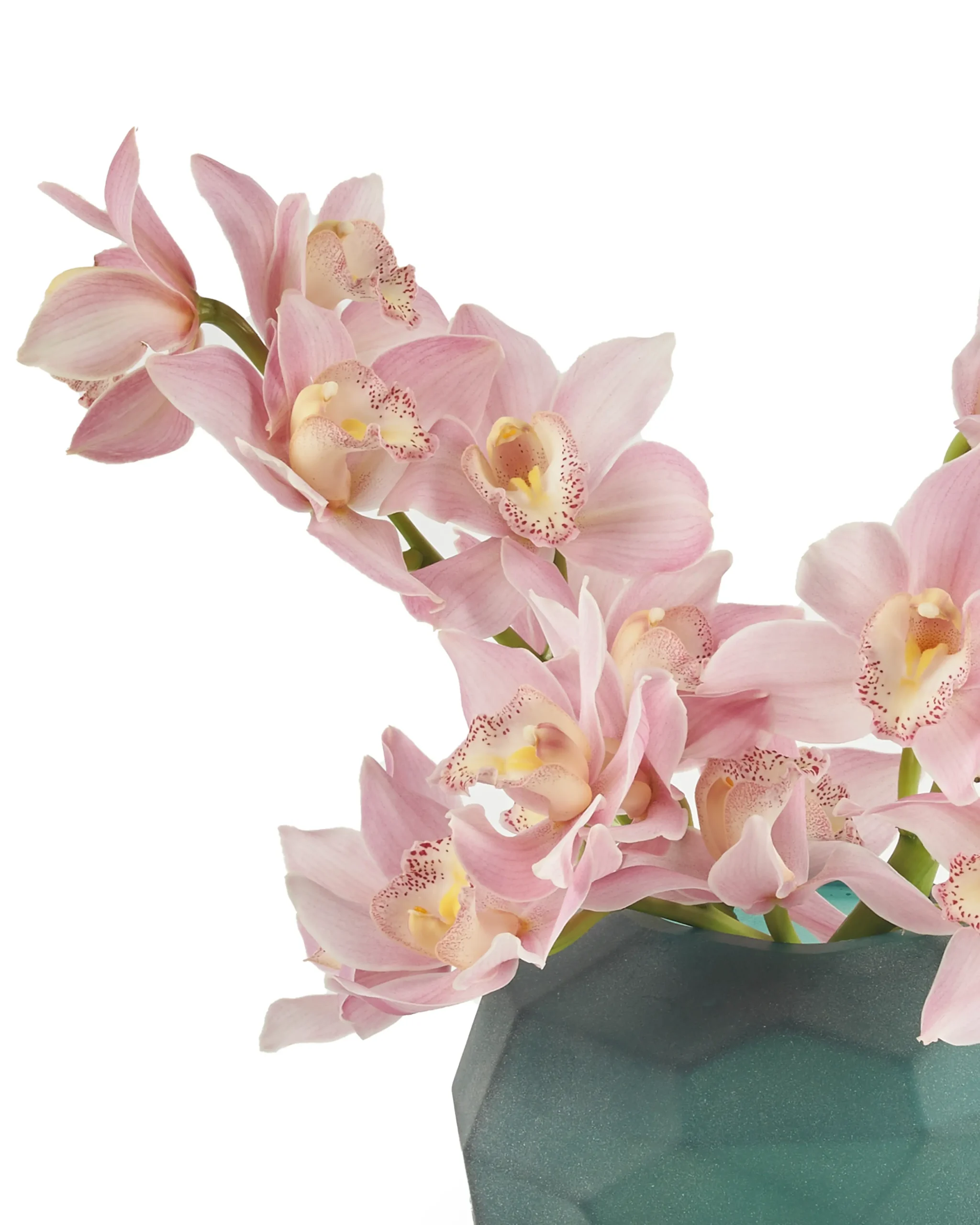 Candy Wink 1 1 2024 scaled 1 Candy Wink 1 1 2024 scaled 1