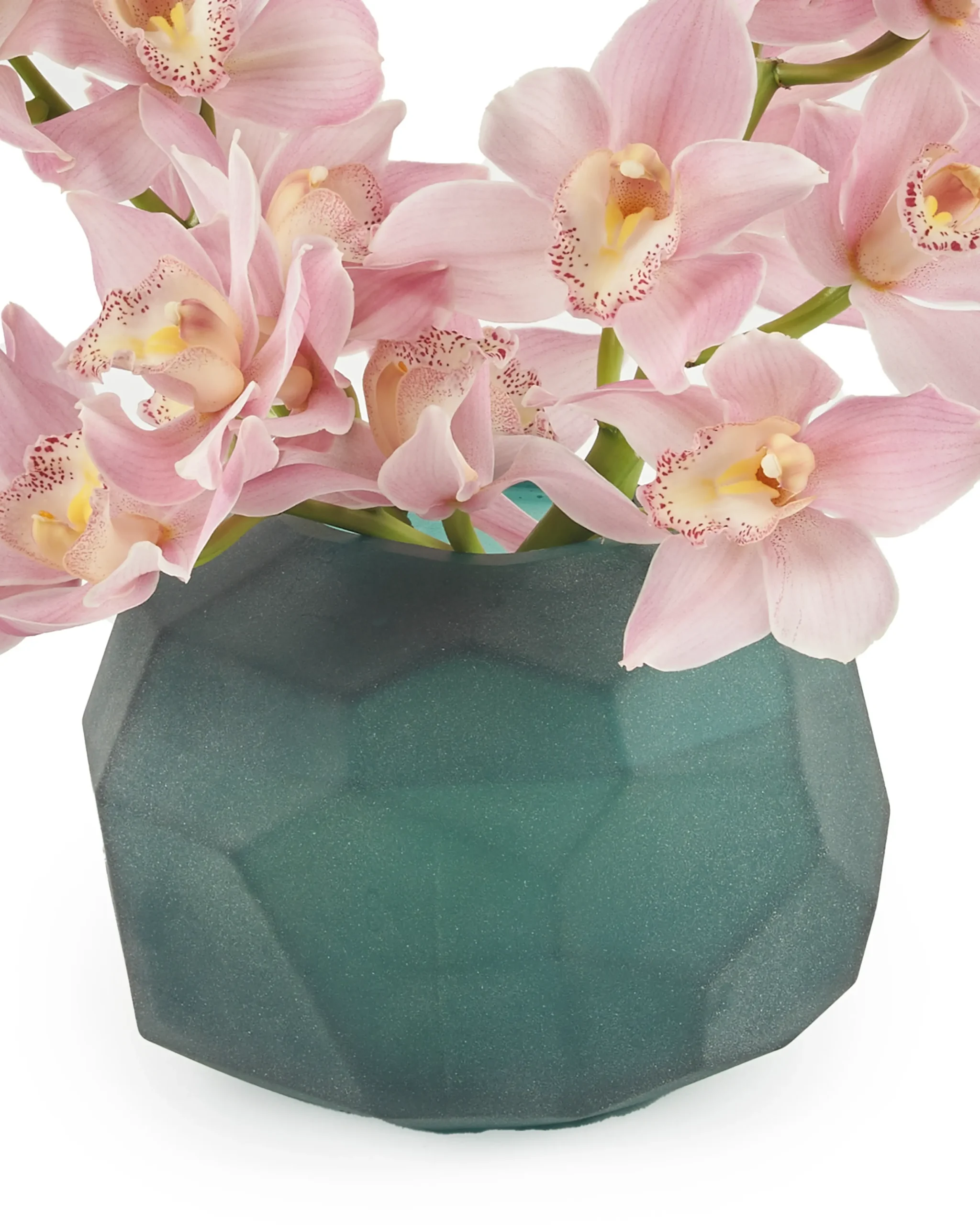 Candy Wink 1 2 2024 scaled 1 Candy Wink 1 2 2024 scaled 1