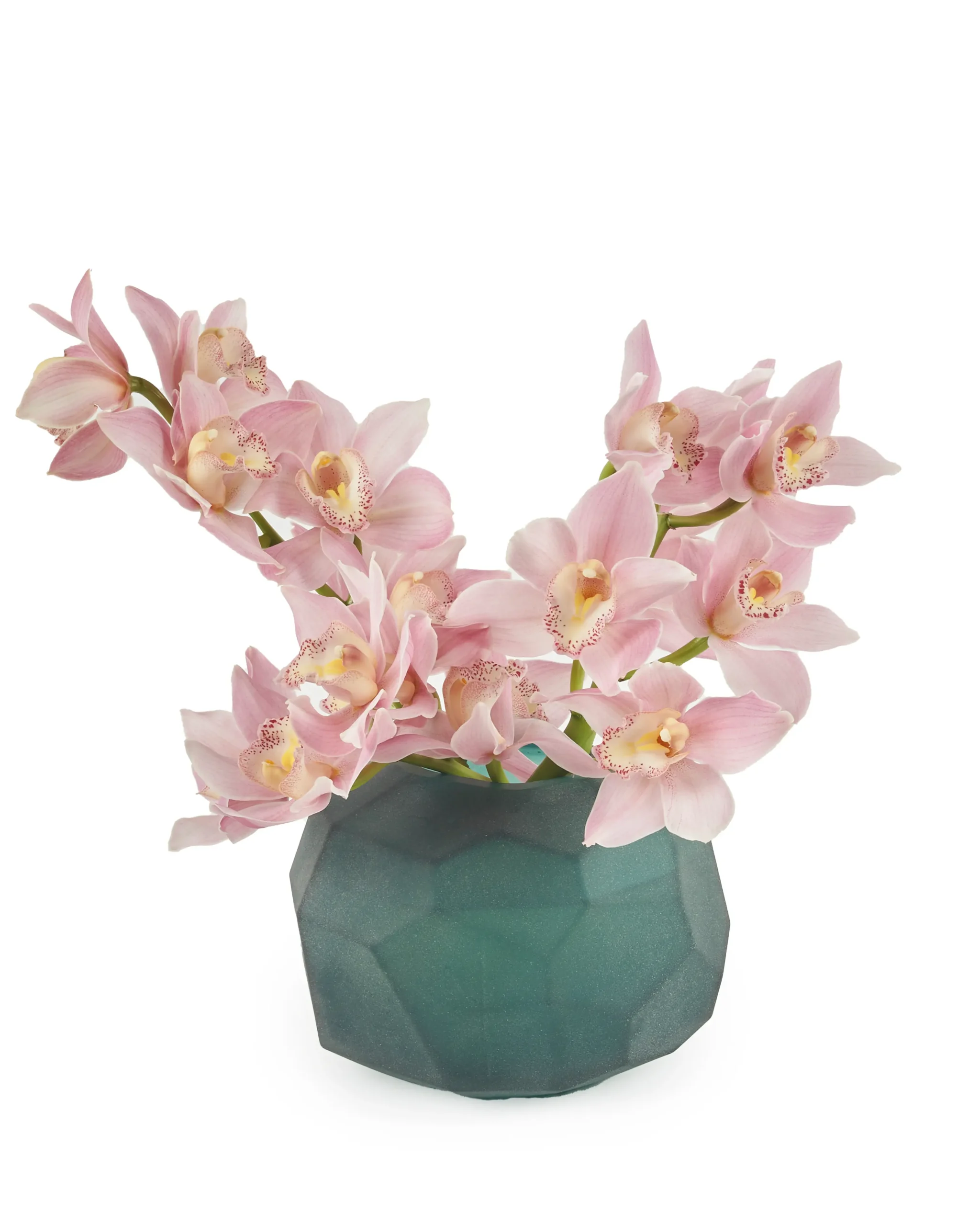 Candy Wink 2024 scaled 1 Candy Wink 2024 scaled 1