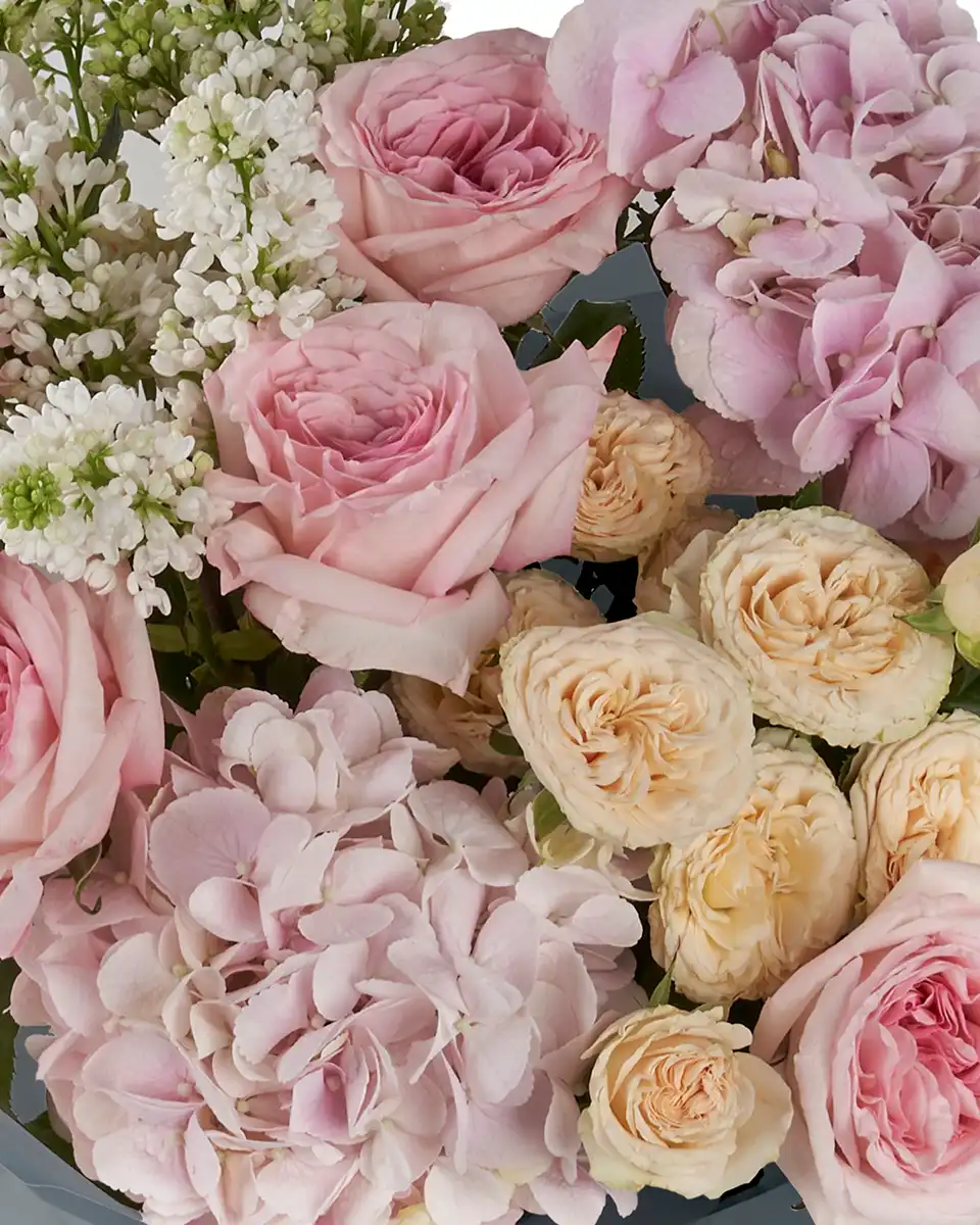 Mellow Touch Impressive Details 2 Mellow Touch Impressive Details 2