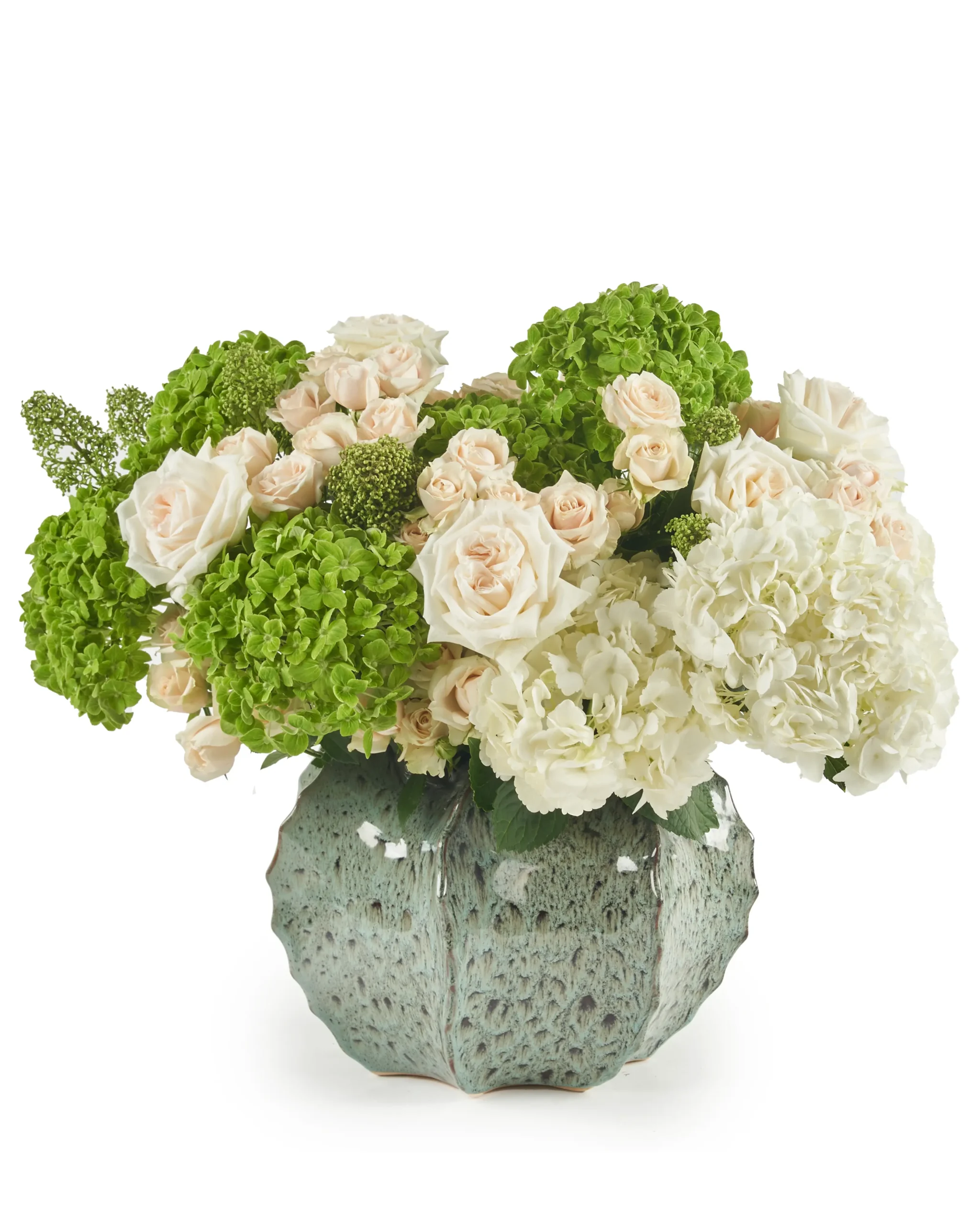 My Emma Reshoot scaled 1 My Emma Reshoot scaled 1