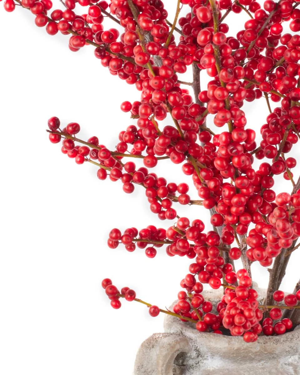 NicholasNEW PRODUCT7 VASE CLOSEUP DETAILSPEONY RED WITHOUT WRAPPING 7 NicholasNEW PRODUCT7 VASE CLOSEUP DETAILSPEONY RED WITHOUT WRAPPING 7