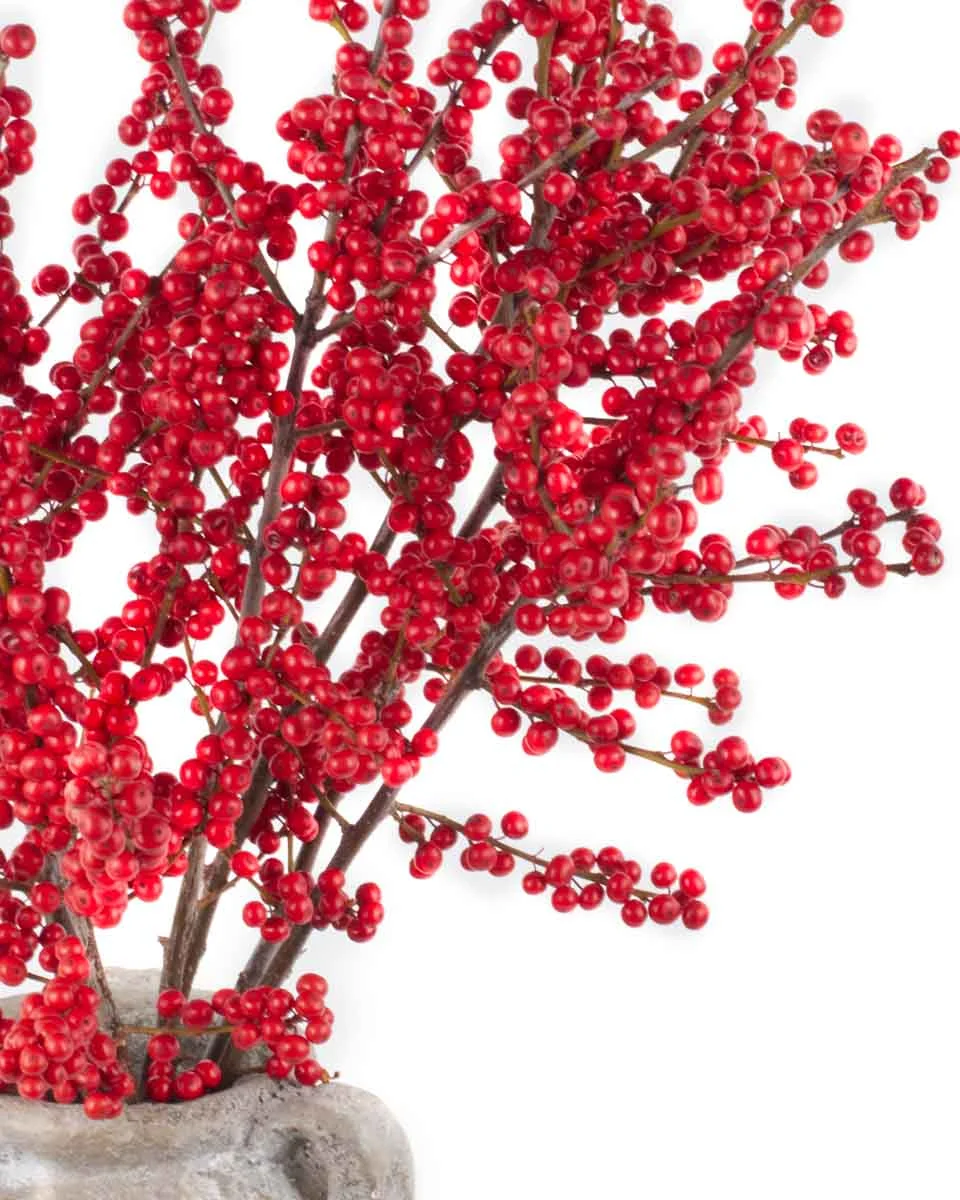 NicholasNEW PRODUCT7 VASE CLOSEUP DETAILSPEONY RED WITHOUT WRAPPING 8 NicholasNEW PRODUCT7 VASE CLOSEUP DETAILSPEONY RED WITHOUT WRAPPING 8