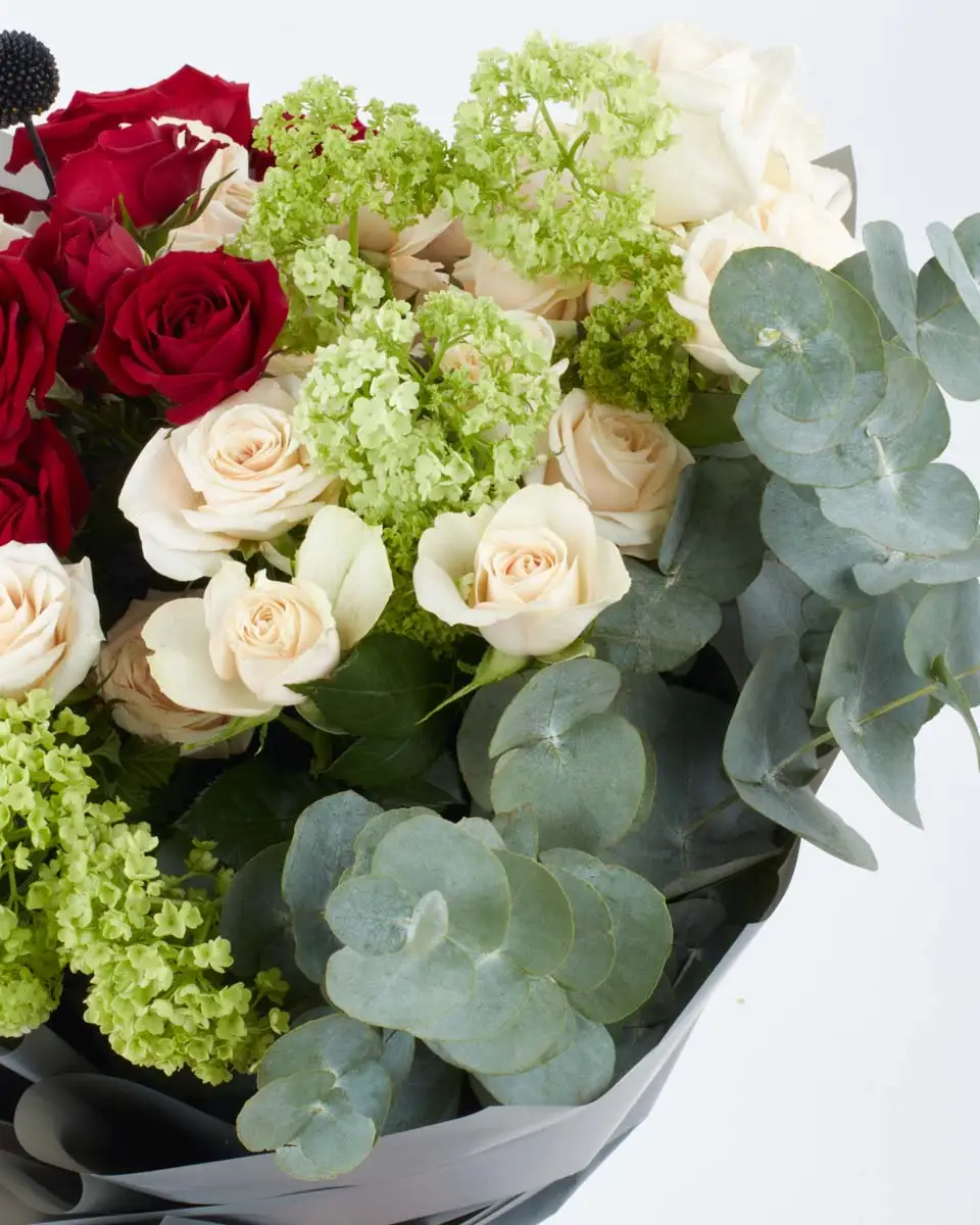 ZARA bouquet 2 impressive ZARA bouquet 2 impressive