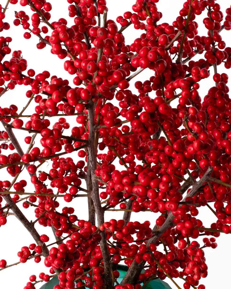 ilex BerryNEW PRODUCT4 VASE CLOSEUP DETAILS ilex BerryNEW PRODUCT4 VASE CLOSEUP DETAILS