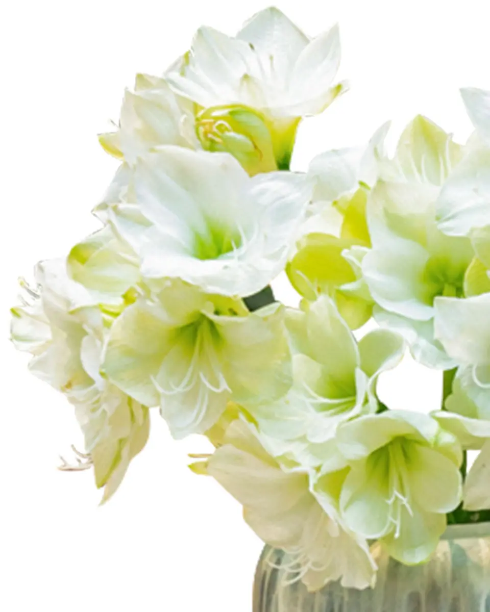 Winter Sonata Side2 Winter Sonata Side2