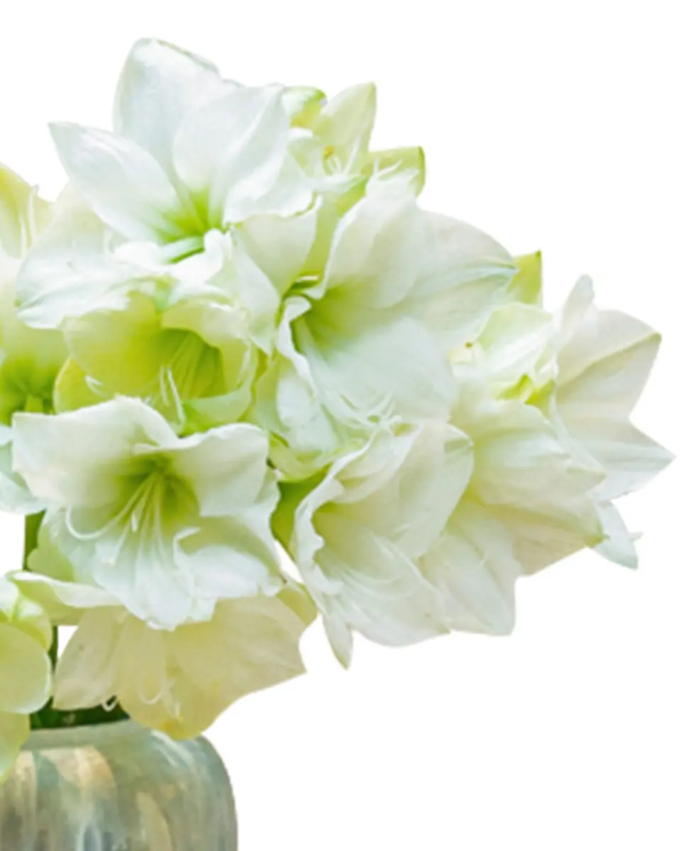 Winter Sonata Side3 Winter Sonata Side3