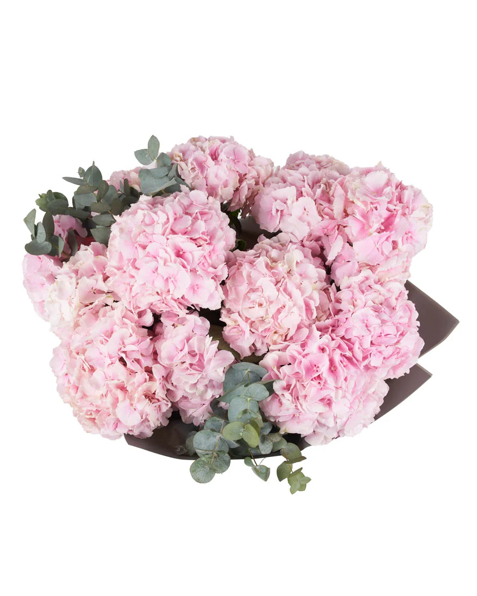 FLUFFY VERENA PINK SUPERB JUNE 5, 2023 10 FLUFFY VERENA PINK SUPERB JUNE 5, 2023 10