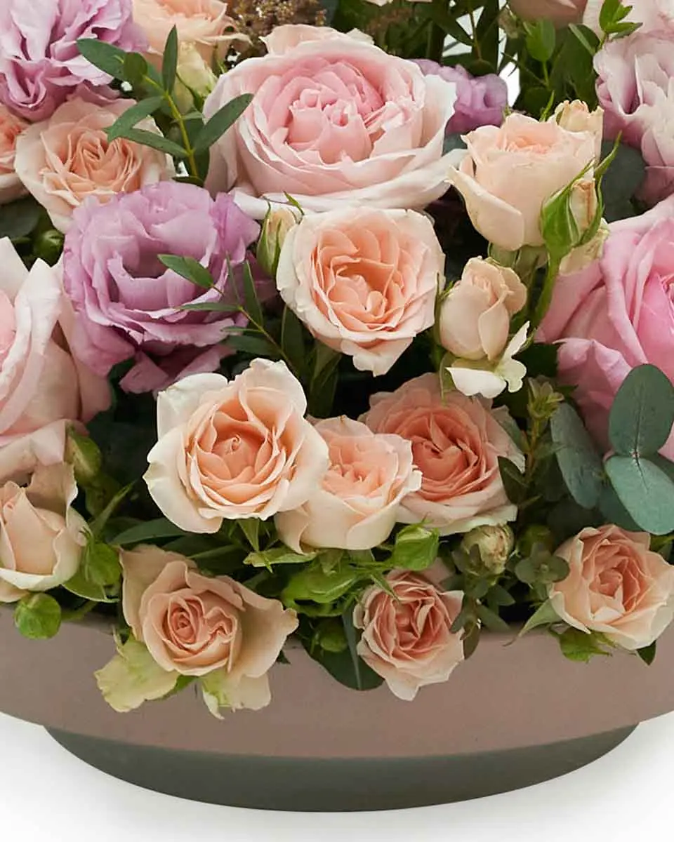 Fresh From the Garden bottom Fresh From the Garden bottom