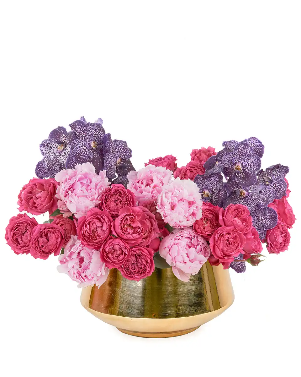 ALWAYS THE FAVORITE 2025 ALWAYS THE FAVORITE 2025