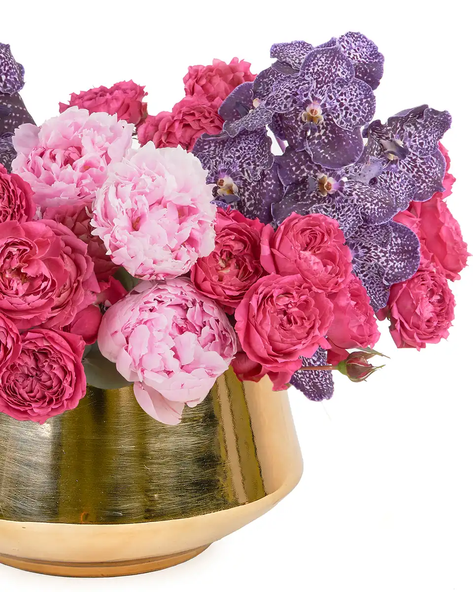 ALWAYS THE FAVORITE 2025 2 ALWAYS THE FAVORITE 2025 2