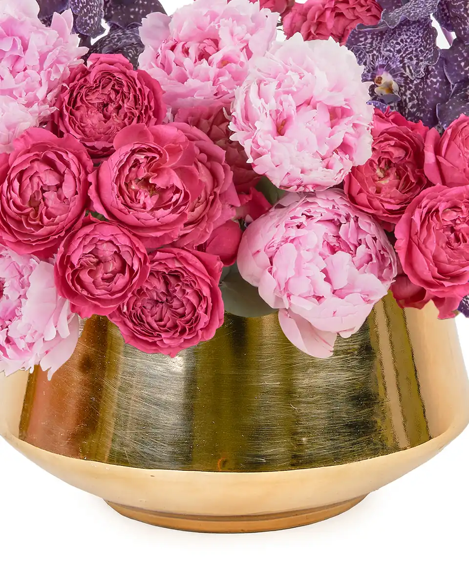 ALWAYS THE FAVORITE 2025 3 ALWAYS THE FAVORITE 2025 3