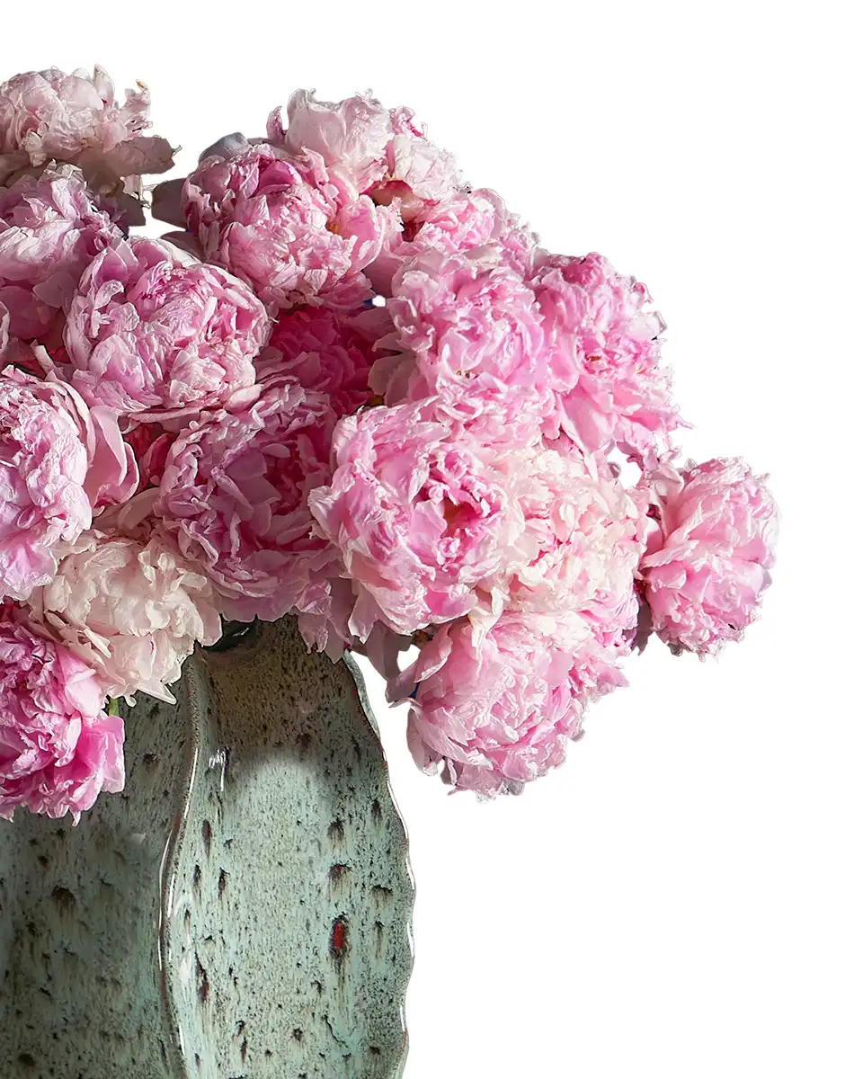 MISS SARAH 1 2025 MISS SARAH 1 2025