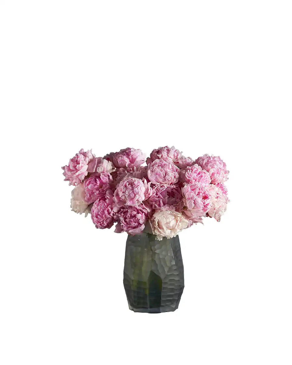 SPARKLING SARAH 1 Edited SPARKLING SARAH 1 Edited