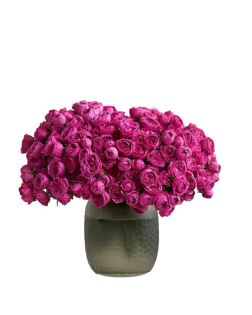 Gorgeous Bunch edited 2025 Gorgeous Bunch edited 2025