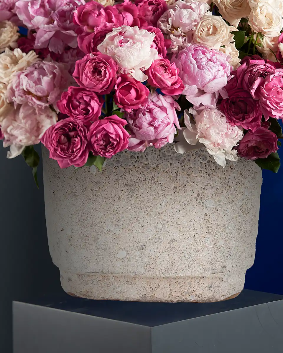 PINK AVALANCHE 20 Oct 2025 Details2 PINK AVALANCHE 20 Oct 2025 Details2