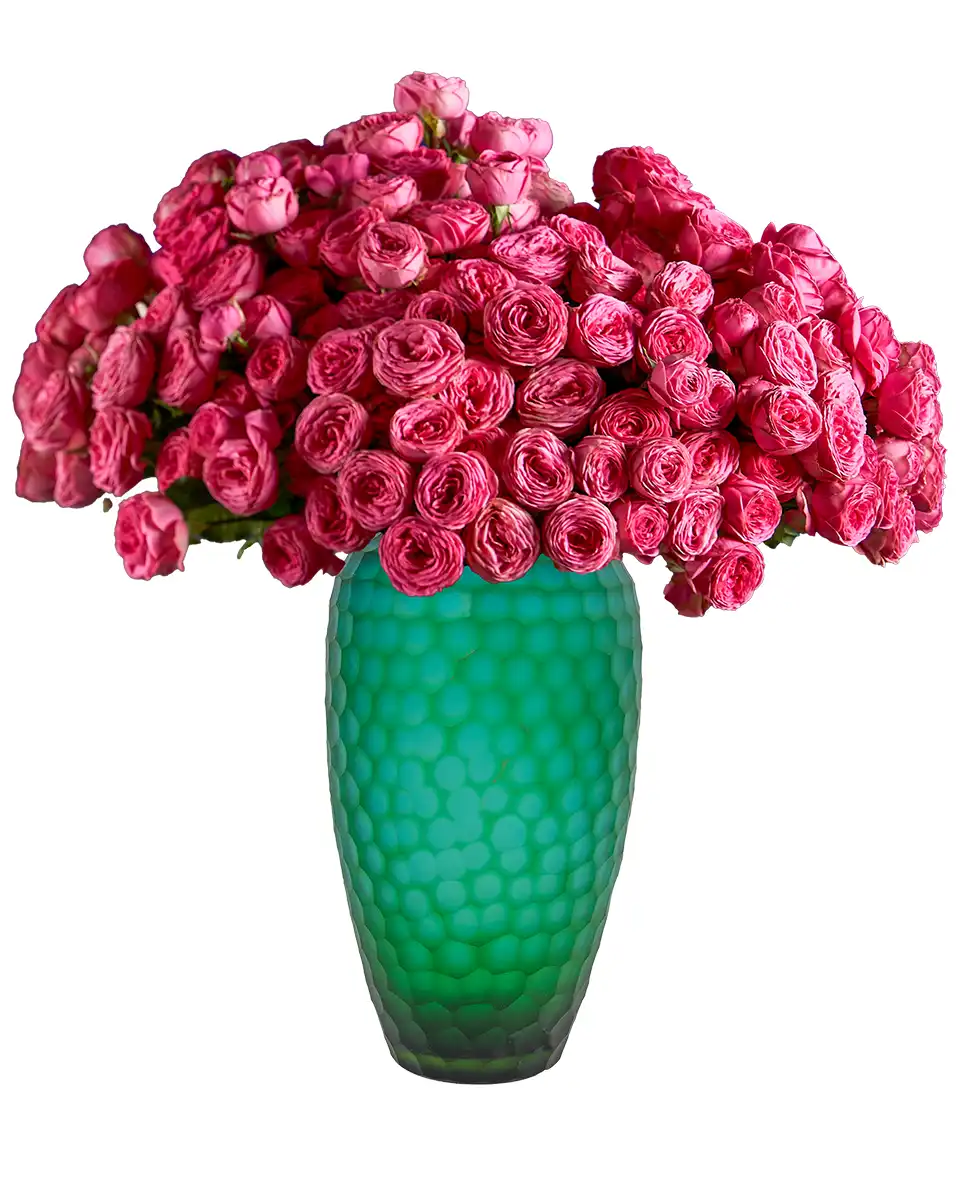 Perhaps Love 24 Oct 2025 Perhaps Love 24 Oct 2025