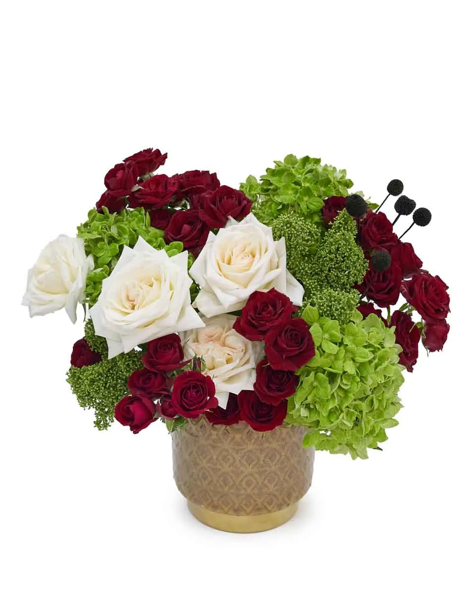 Oasis WOnders UAE ND2 2025 Oasis WOnders UAE ND2 2025