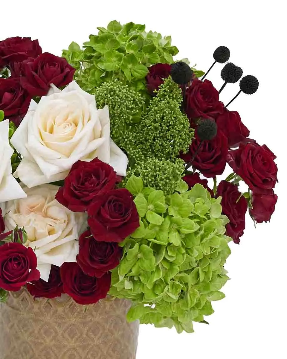 Oasis WOnders UAE ND2 2025 Details Oasis WOnders UAE ND2 2025 Details