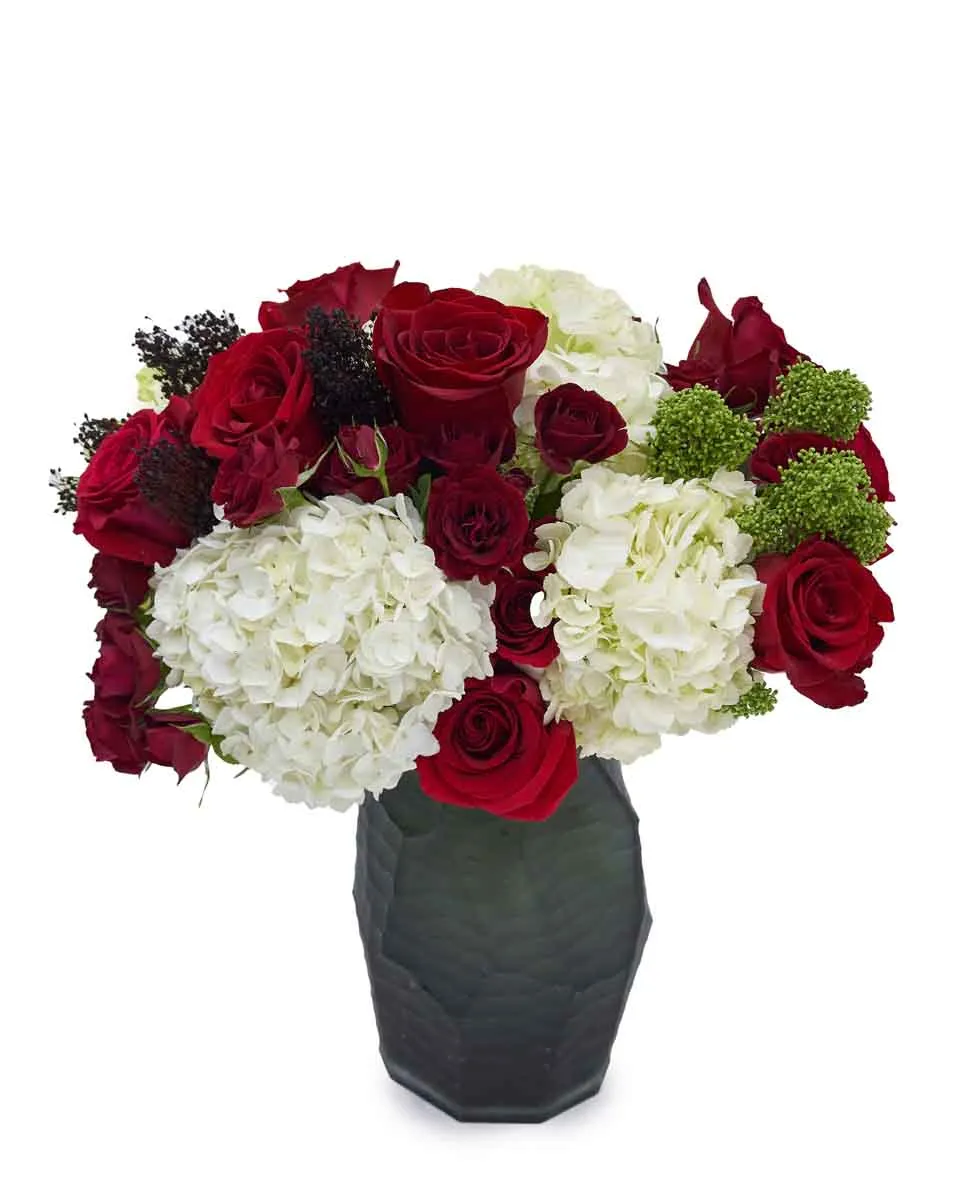 Oasis UAE ND2 2025 Oasis UAE ND2 2025