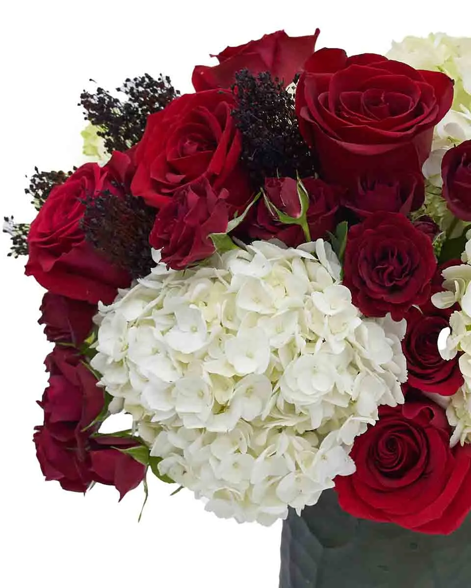 Oasis UAE ND2 2025 Detail Oasis UAE ND2 2025 Detail