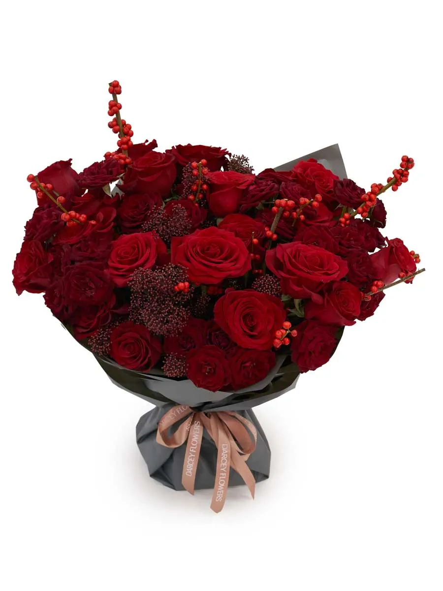 Scarlet 2025 SUPERB Scarlet 2025 SUPERB